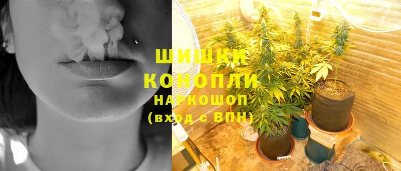 цена   Железноводск  Шишки марихуана THC 21% 